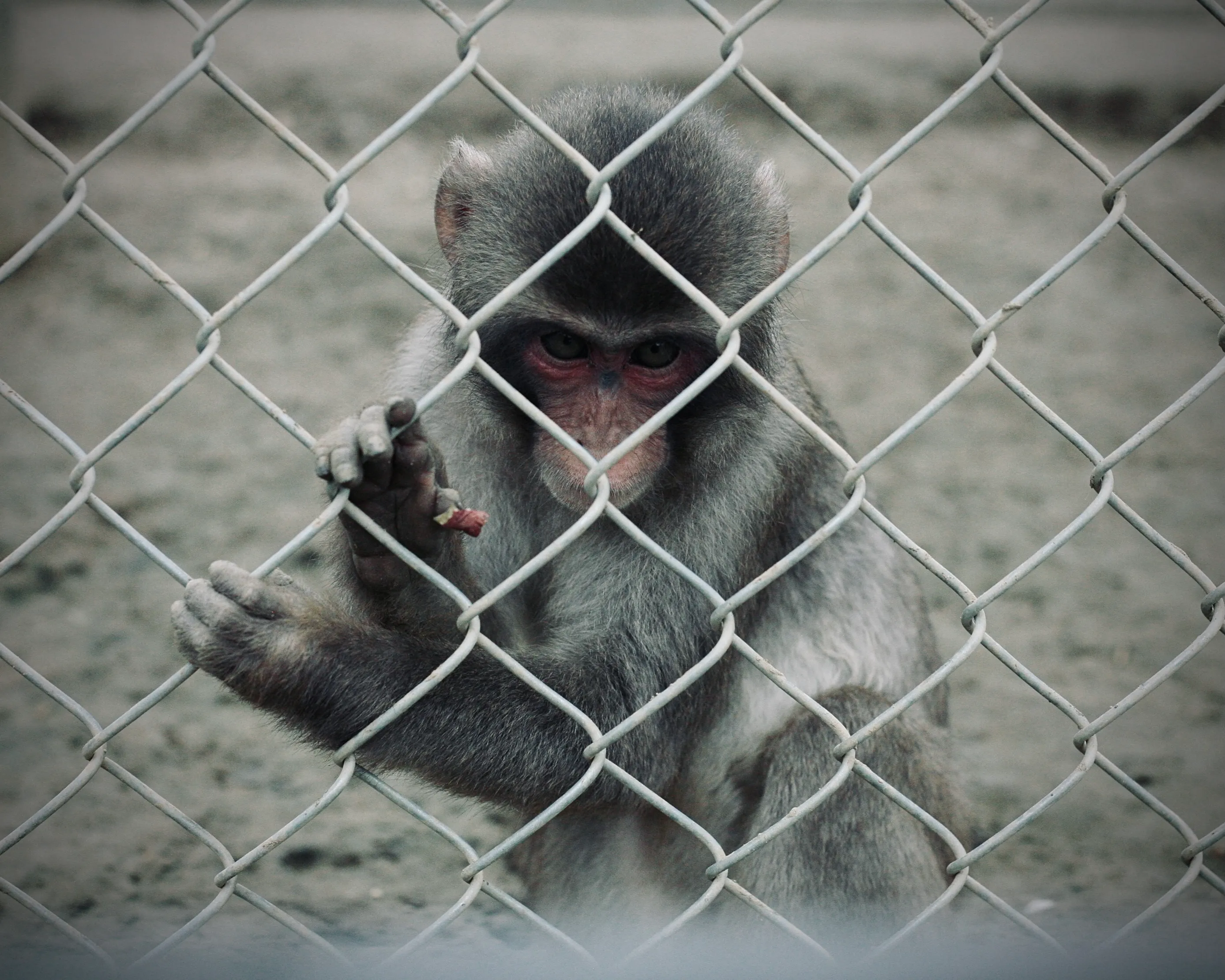 富津自然動物園